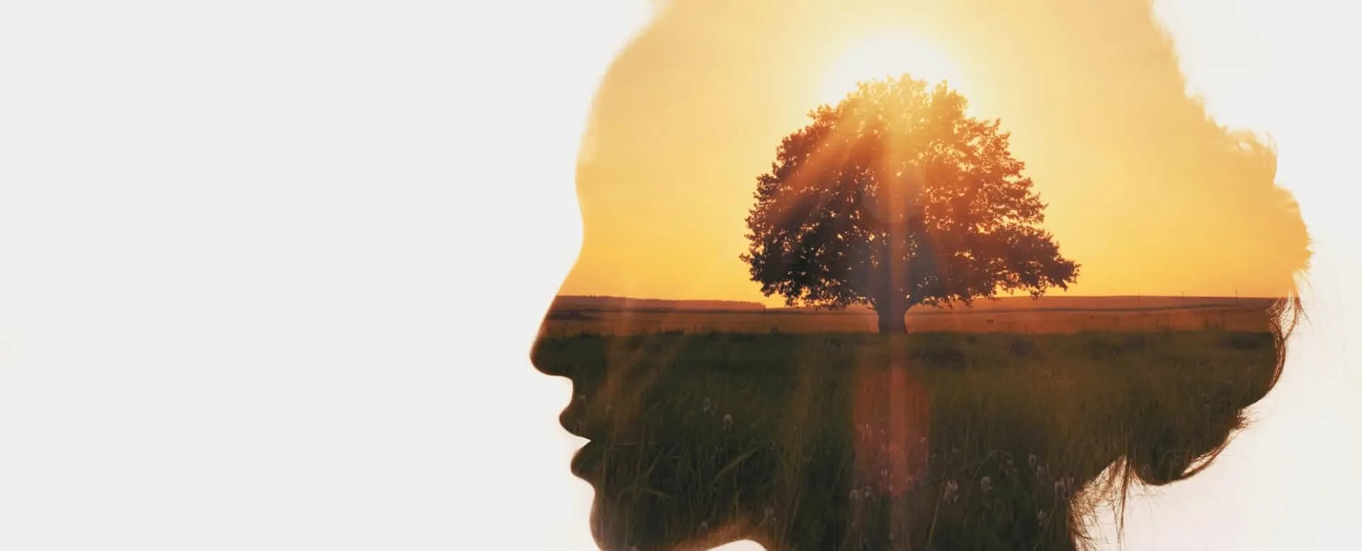 Kickstarting Your New Year Mental Health Journey: Top Tips for Stress Management